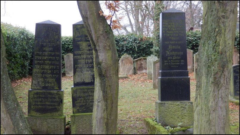 Der Friedhof in SteinBockenheim Jüdische Friedhöfe in Deutschland